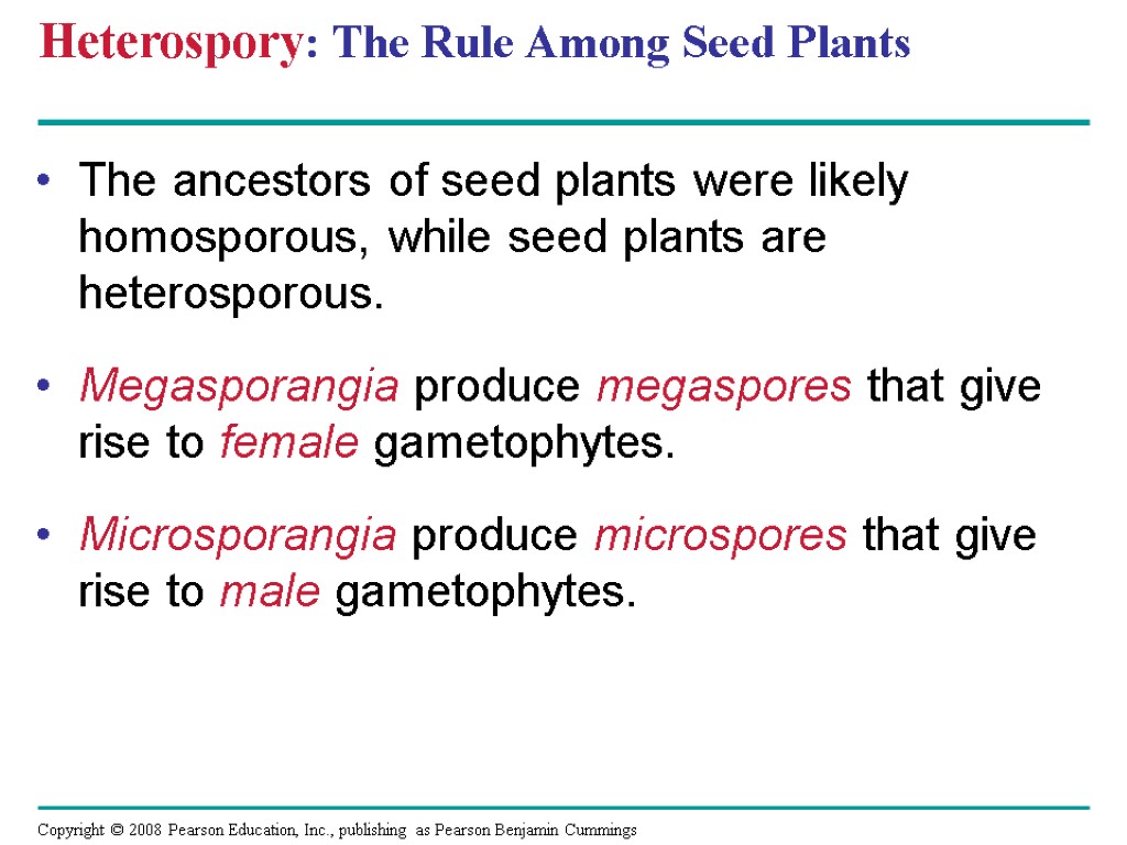 Heterospory: The Rule Among Seed Plants The ancestors of seed plants were likely homosporous,